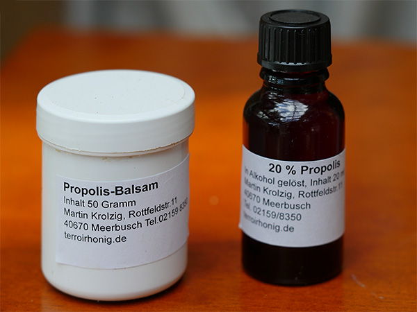 bestes Propolis vom Imker in Meerbusch kaufen